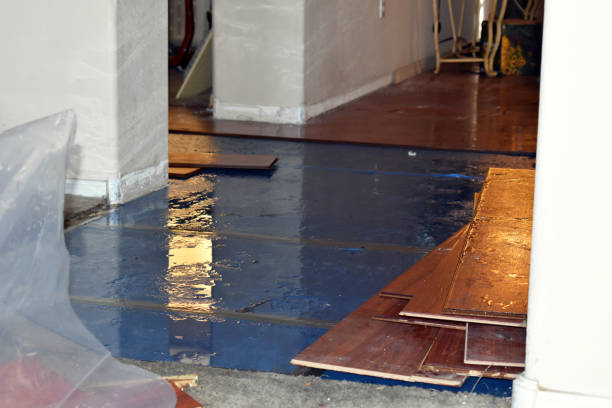 Professional Basement Flood Cleanup technician working in Elgin, OK